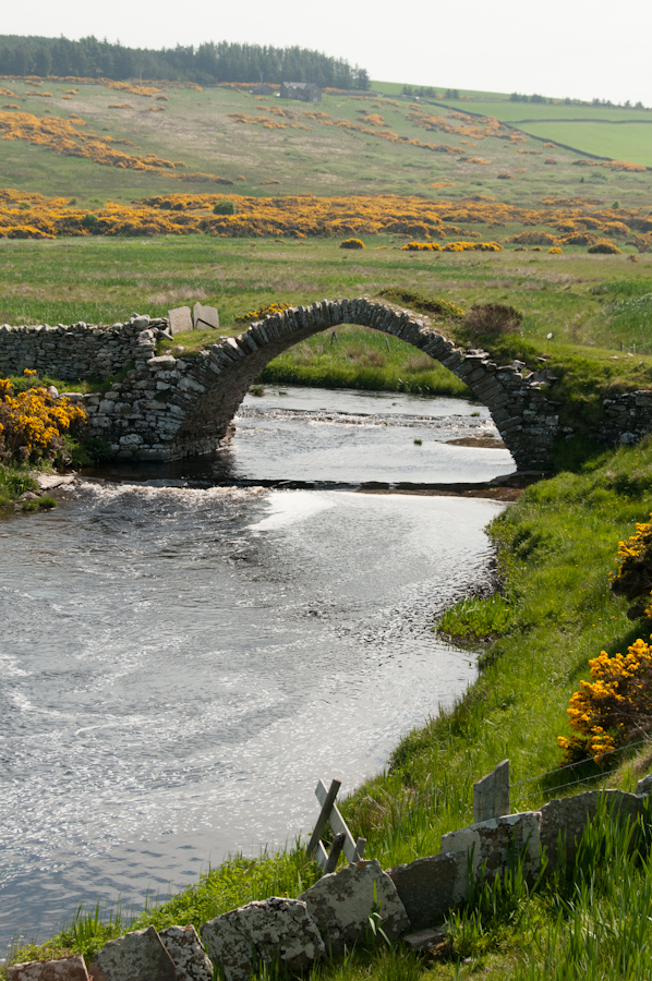 Old Bridge of Forss